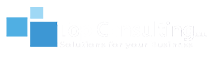 Top Consulting